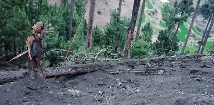 Indian army surgical strikes