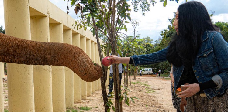 Kaavan Elephant Cher