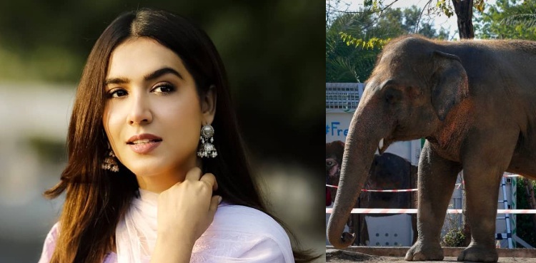 Mansha Pasha Kaavan