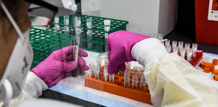 hackers vaccines