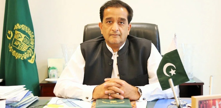 malik amin illegal occupation recover