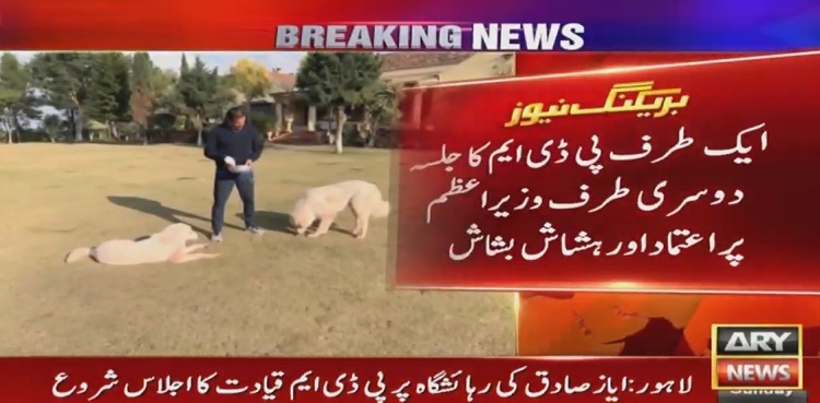 PM Imran Khan DOGs