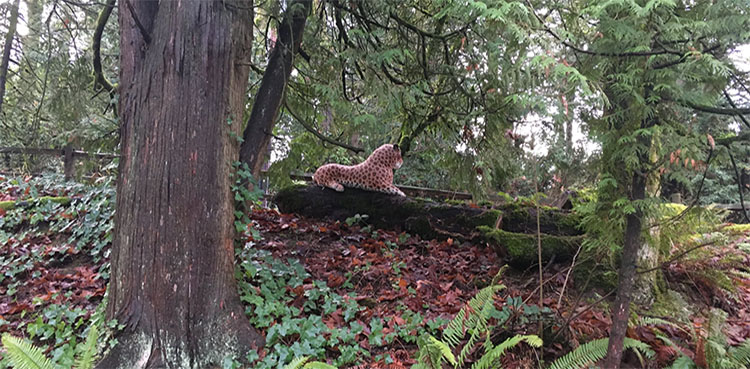cheetah, stuffed animal, Oregon