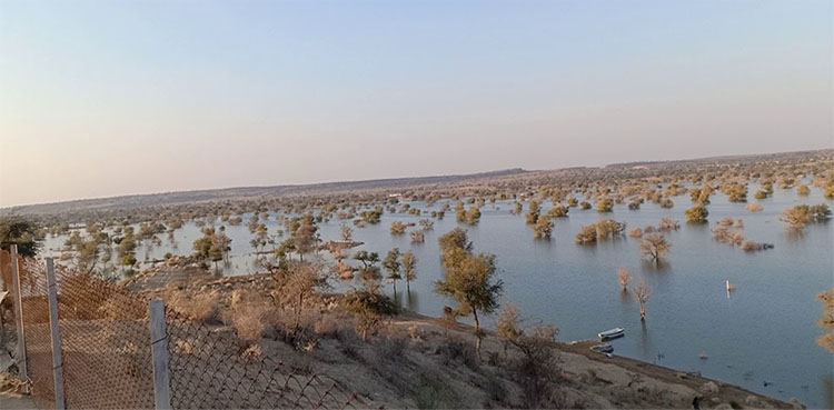 Gorano Dam, Imtiaz Shaikh, compensation