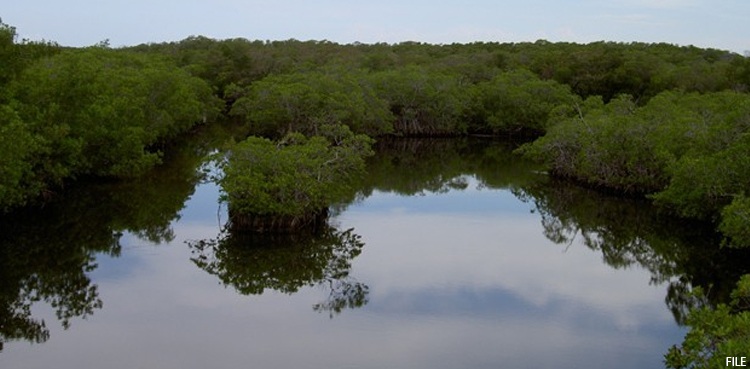 Benin, voodoo, mangroves
