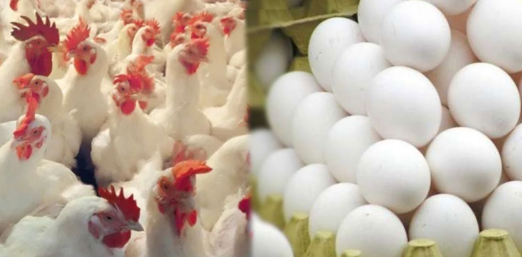 Poultry hatcheries, fined, cartelization, price hike