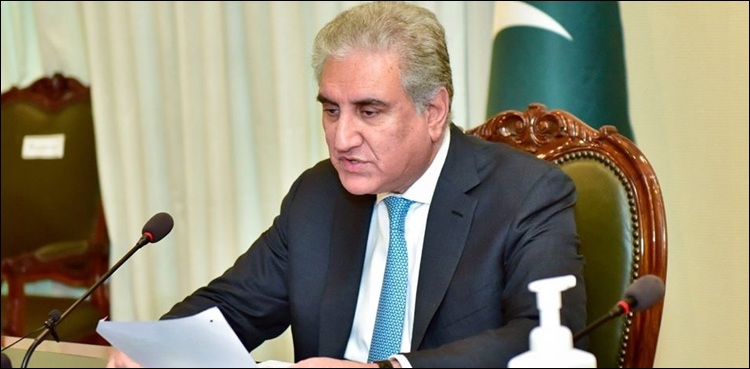 horse-trading, open ballot Senate election, Shah Mahmood Qureshi,