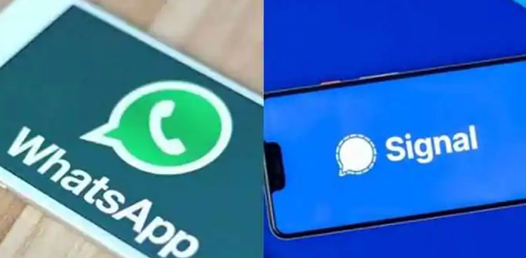 Signal Whatsapp