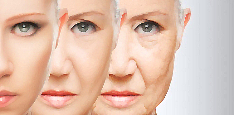 ageing scientist therapy