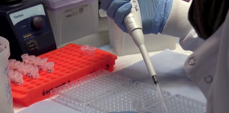 AZD7442 COVID-19 AstraZeneca drug COVID-19