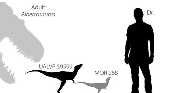 tyrannosaurs dinosaur