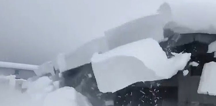 snow-man-japan-avalanche