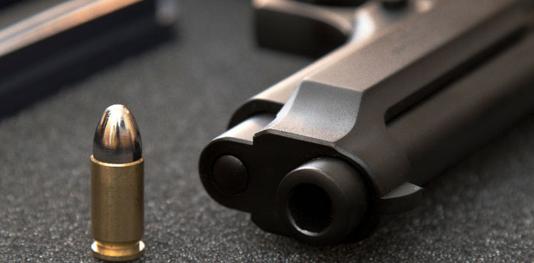 Arms license, Sindh, ban imposed