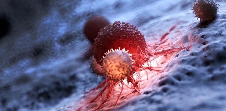 coronavirus covid infection deaths cases Sindh karachi