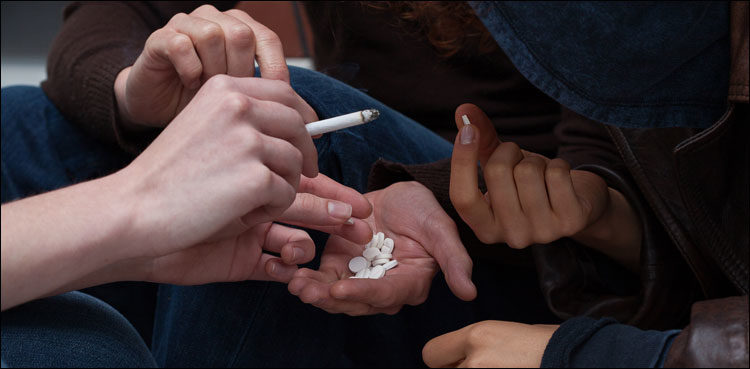 lhc drug abuse educational institutions