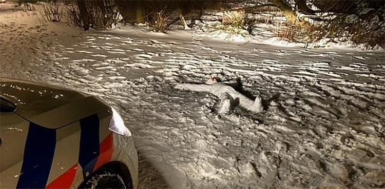 Snowman-dp-police-murder-case-cold-dutch