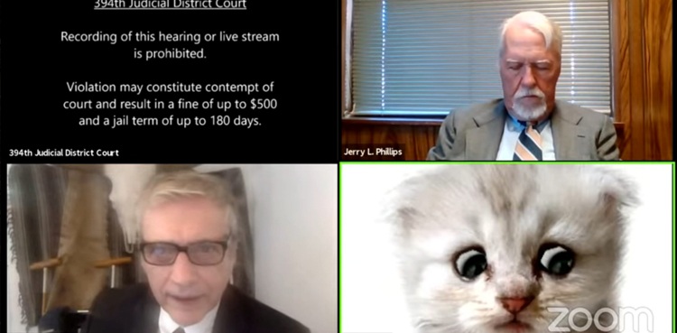 zoom filter mishap lawyer cat virtual hearing viral video