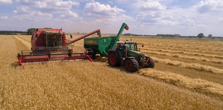 Agriculture Pakistan