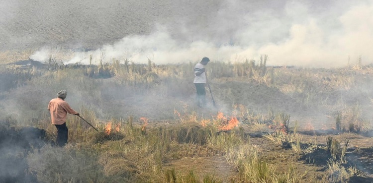 Farm fires, fuel deadly air, India