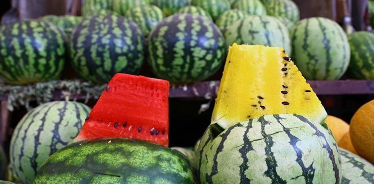 watermelon-yellow-red-farmer