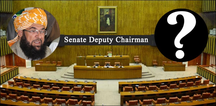 Ejaz Chaudhry Senate Deputy Chairman slot