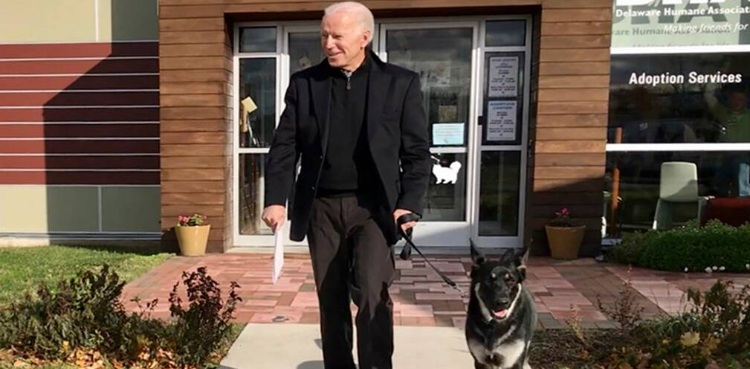 Joe Biden, dog