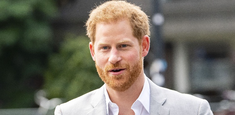 Prince Harry Executive Job