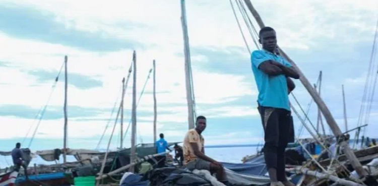 Mozambique Palma Islamic State