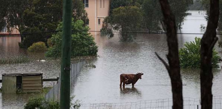 US storms, flooding, death toll