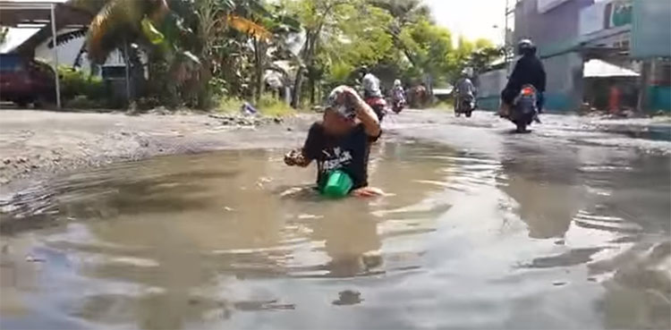 pothole, protest, bathes, fish