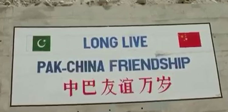 Special Documentary