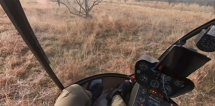 helicopter crash, netizens, social media, pilot