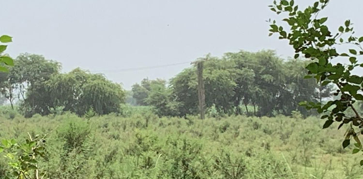 Irrigation Minister, anti-encroachment committees, land grabbing