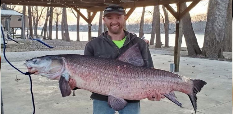 Missouri black carp
