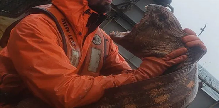 real-life sea monster, fisherman, sea creature