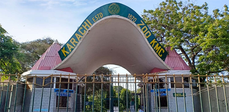 karachi zoo, elephant, murtaza wahab, safari park,