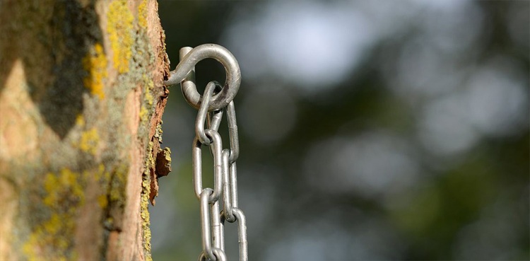 man-chained-to-tree-police-bhakkar