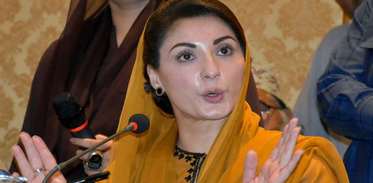 maryam nawaz, suspends, PML-N, political activities
