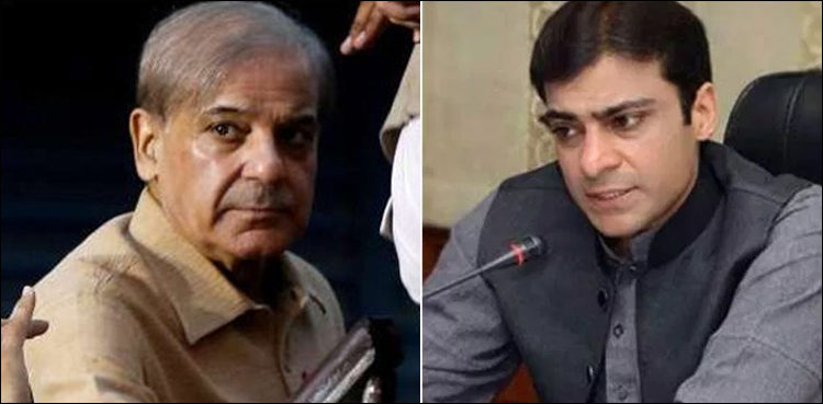money laundering, fia, shehbaz sharif, hamza shahbaz,