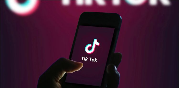 tiktok obscene videos, PTA,