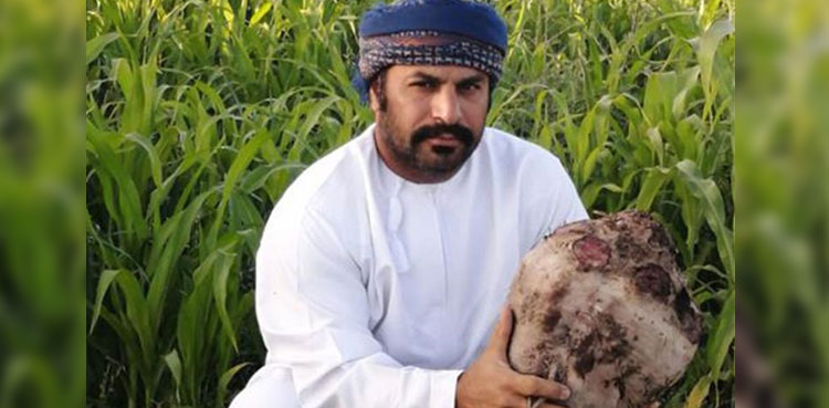 beetroot Oman