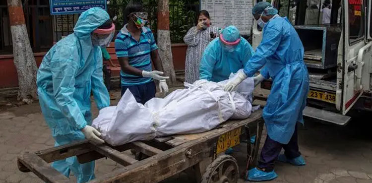 Sindh Covid-19 deaths