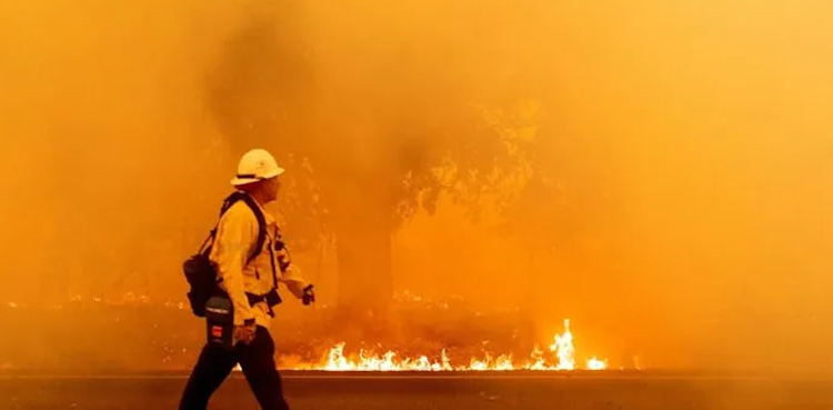 california fire murder