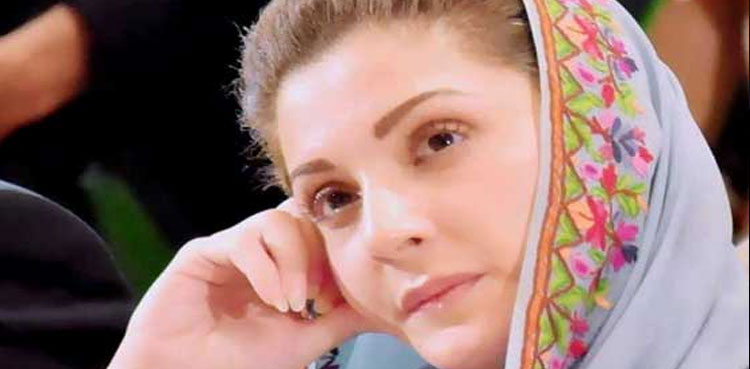 Maryam Nawaz, LHC, PML-N, passport return