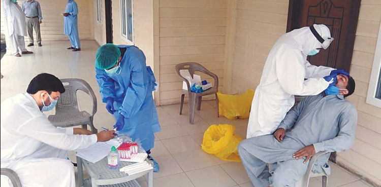 Sindh coronavirus cases