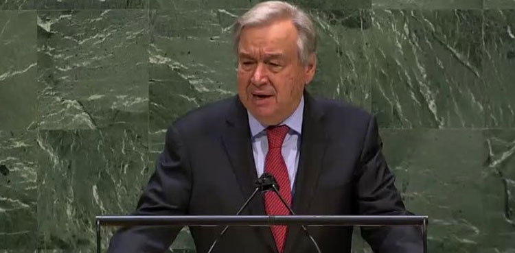 UN chief Palestine issue