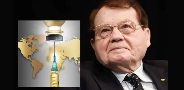 Luc Montagnier vaccine antibody