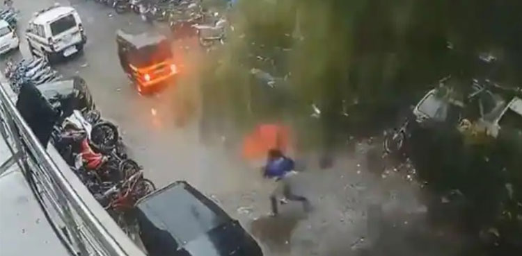 woman-mumbai-escapes-tree-comes-down