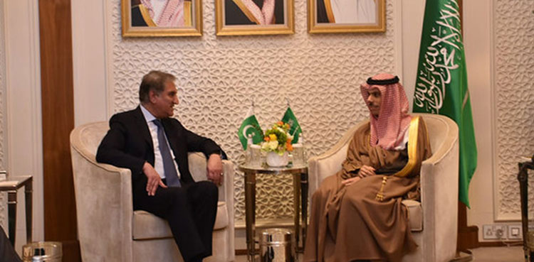 FM Qureshi Saudi counterpart