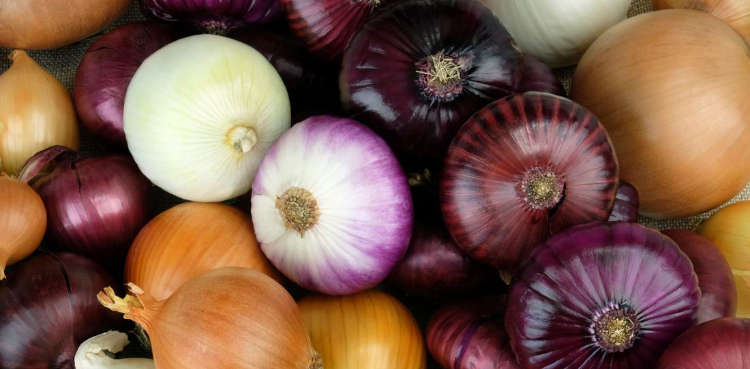 Benefit of Raw Food